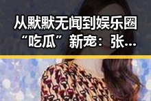 从默默无闻到娱乐圈“吃瓜”新宠：张恒的逆袭之路