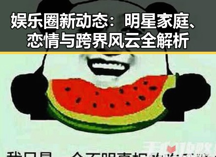 娱乐圈新动态：明星家庭、恋情与跨界风云全解析