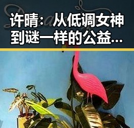 许晴：从低调女神到谜一样的公益天使，娱乐圈的反差魅力