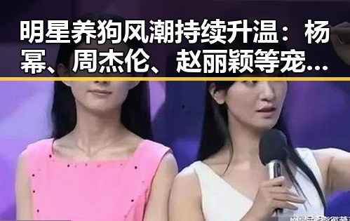 明星养狗风潮持续升温：杨幂、周杰伦、赵丽颖等宠物生活揭秘