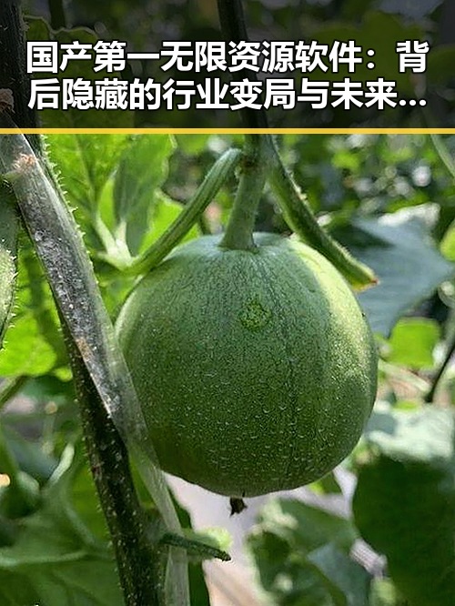 国产第一无限资源软件：背后隐藏的行业变局与未来走向