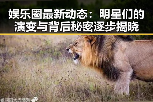 娱乐圈最新动态：明星们的演变与背后秘密逐步揭晓